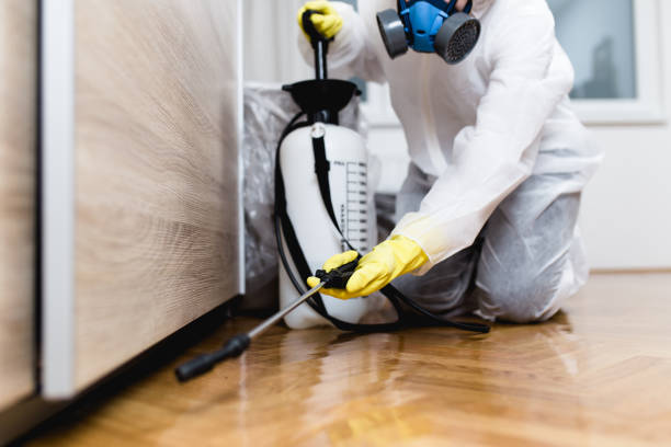 Best Pest Control Treatment  in Parowan, UT