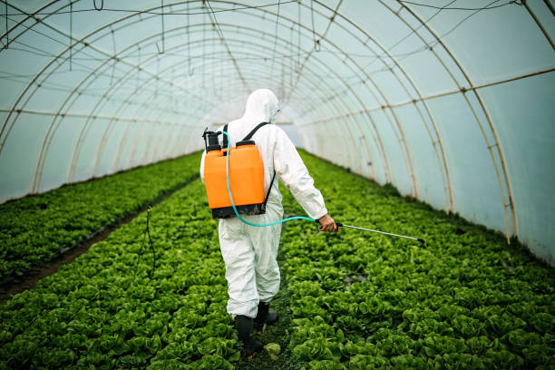 Best Pest Control for Restaurants  in Parowan, UT