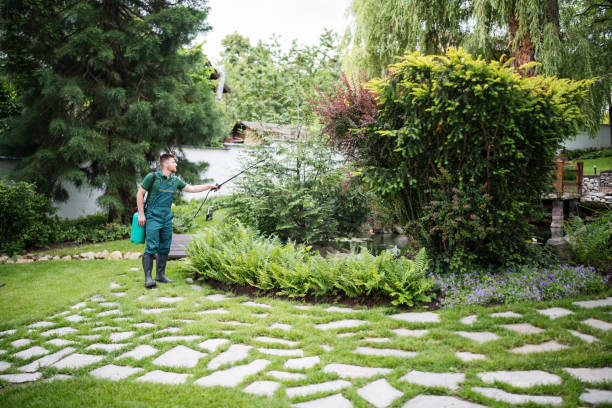Best Ant Control Services  in Parowan, UT