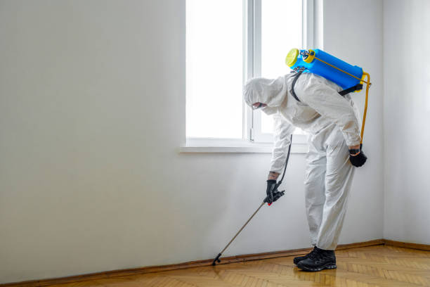 Reliable Parowan, UT Pest Control Solutions