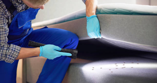 Best Best Pest Control Companies  in Parowan, UT