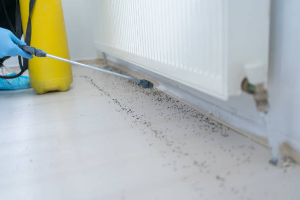 Best Best Pest Control Companies  in Parowan, UT