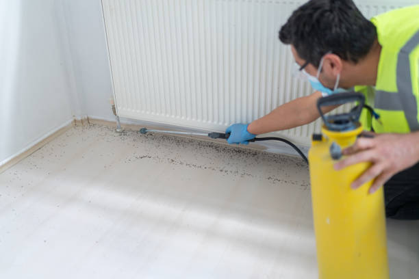 Best Cockroach Control Services  in Parowan, UT